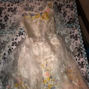 Disney Cinderella Costume